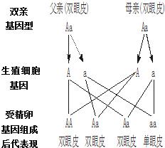 「你的育儿经」刚出生的宝宝发现一个眼大一个眼小咋回事？