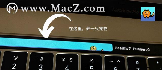 Touchbar pet for Mac(触控栏养宠物)