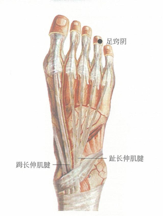 井穴养生，教你如何快速掌握重要的穴位知识