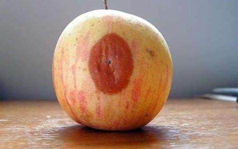 你的育儿经：儿童成为“白血病”高发群体，专家：3种水果，再穷也别给孩子买