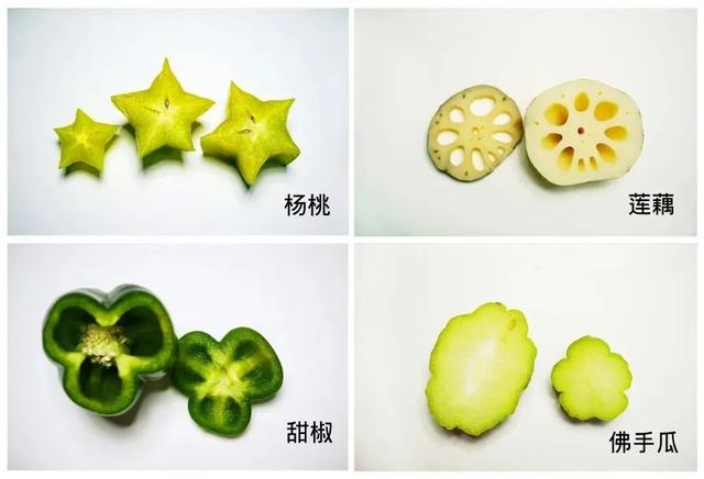 【上观新闻】家里的自然课(二十三)|解锁超好玩的蔬果拓印画!(上)