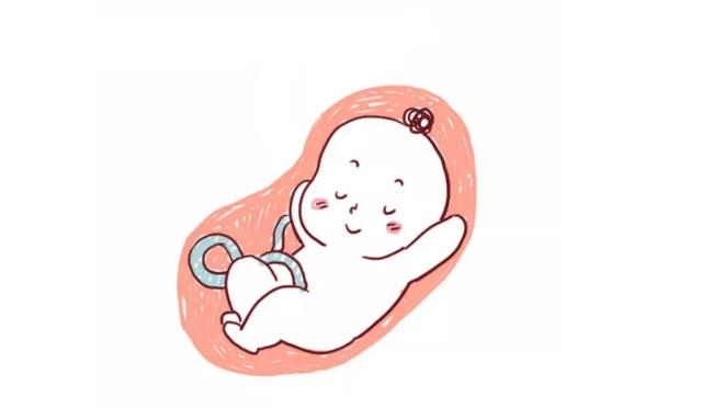 【超级宝妈】孕妈肚子总是一跳一跳的，是胎动还是宫缩？答案意想不到