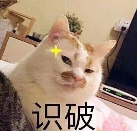 [勇哥科技]朋友圈只能发渣照片？教你简单套路轻松变高清图