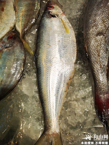 刀鱼|我们的节日丨清明:舌尖上的美味