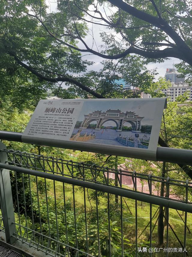 【山楂味的诗】走马观花,看顺德大良。