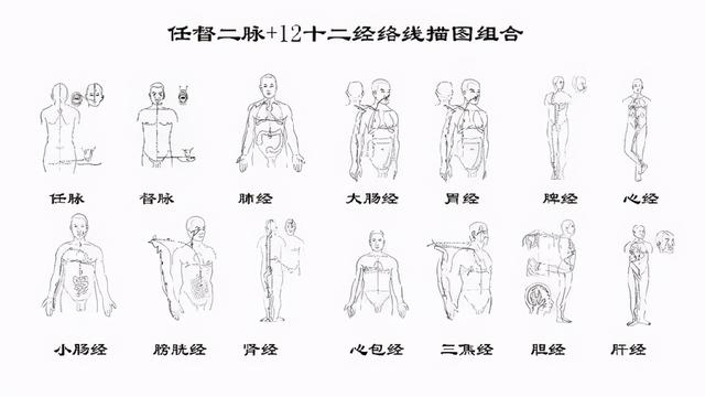 人衰老的过程就是经络逐渐堵塞的过程