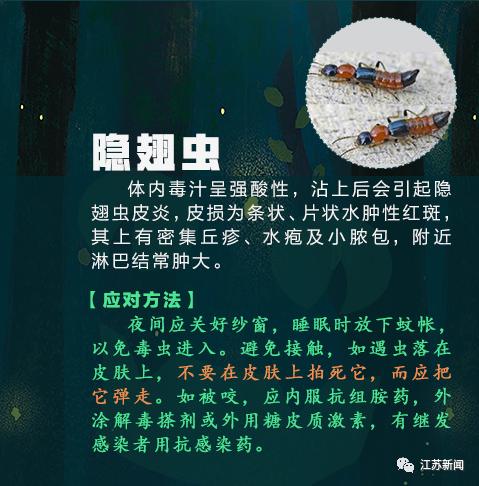 咬伤|被它咬了一口，女子窒息身亡！医生：第一时间应这样做