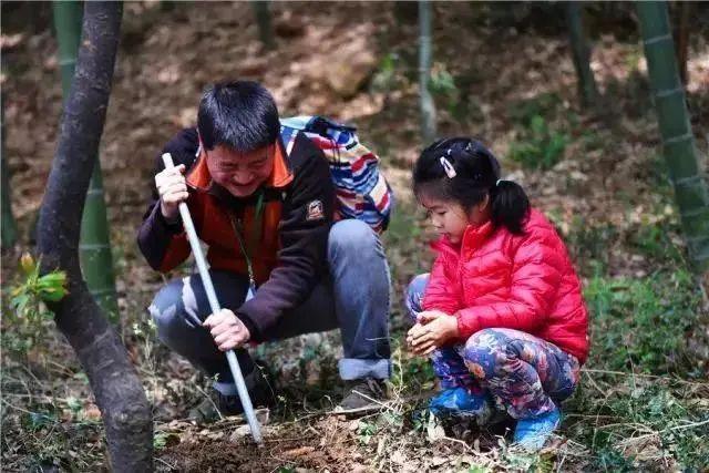 佘山|定了！佘山兰笋文化节本周开幕！上海春天，最难忘这口泛着兰花香的兰笋味儿！100+做法，你都尝过吗？