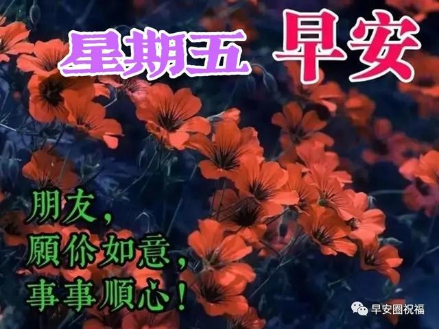 天冷的日子里别忘了多加件衣服。冷空气无情，好朋友有意