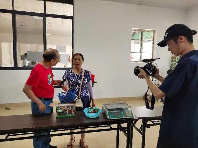 《摇钱树》栏目到始兴县拍摄丨“通叔”为始兴杨梅代言|9号放映厅