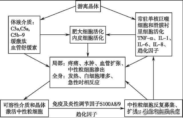 解锁降尿酸治疗后痛风发作不止的原因：伪降酸、溶晶痛和不良生活