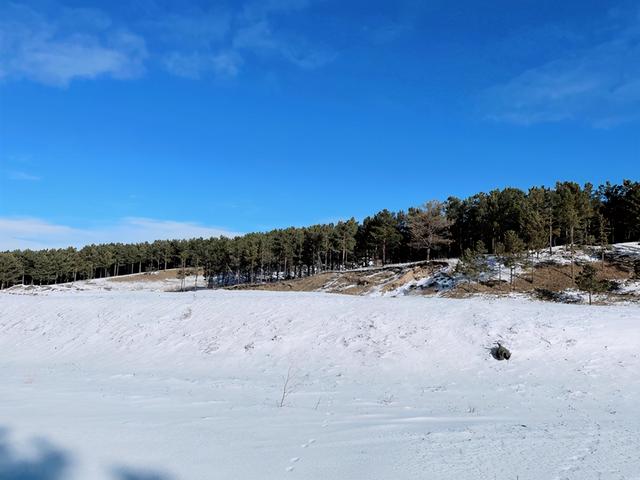 北上林海雪原，城市SUV的综合挑战之旅