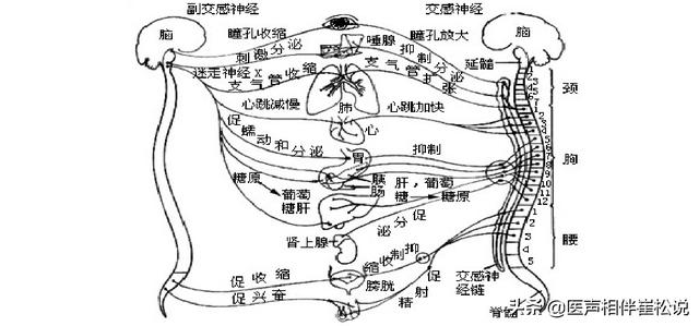 心理疾病|精神可以影响神经，到底是精神病还是神经病？