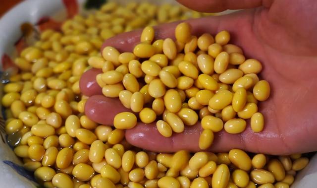 教你在家自制豆腐，不用卤水和内酯，纯绿色无添加，比买的还好吃