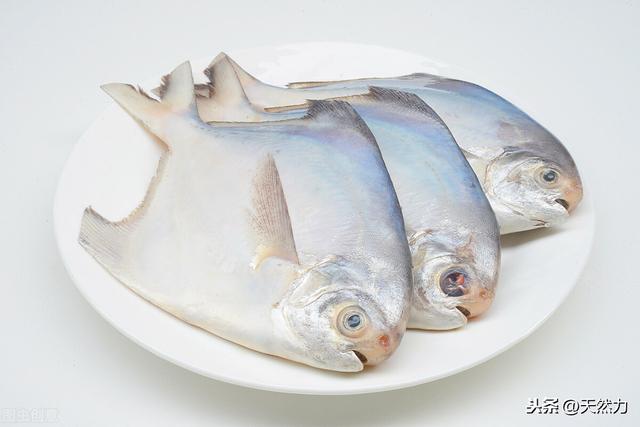 什么鱼刺少好吃，为什么鱼会那么多刺，什么鱼的刺少