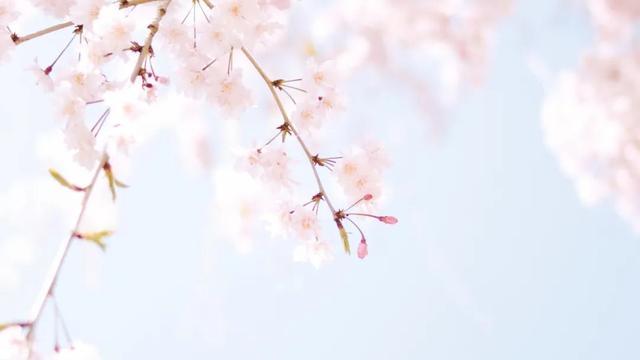 「你的育儿经」【妇产科普】助产士教您如何 “越过恐惧 安心待产~”