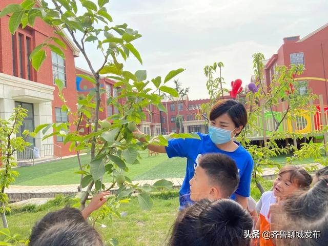 齐鲁聊城发布|东昌府区实验幼儿园开学第一天掠影