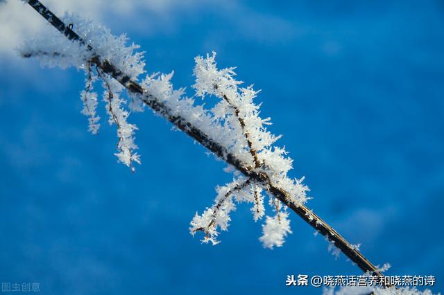 又不太平了