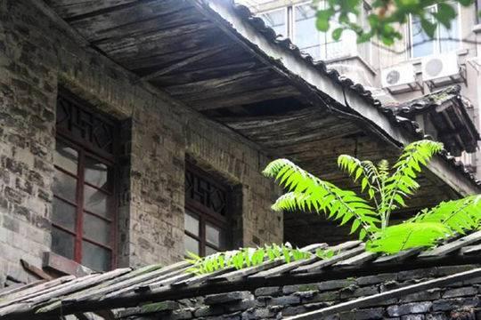 封面新闻图说生活|隆兴街的曾经与现在