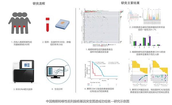 患者|中国晚期转移性前列腺癌基因突变图谱成功绘就 可为患者提供最适合的治疗方案与药物 延长生存时间
