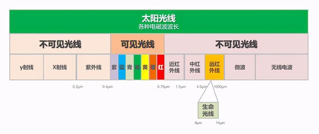 苏泊尔|苏泊尔远红外本釜电饭煲亮相AWE2021