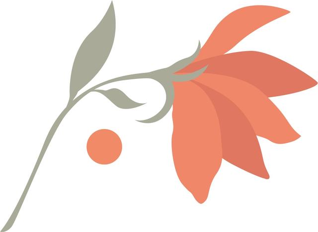 改造|杨浦这个街道第一户“适老化”全屋改造完成