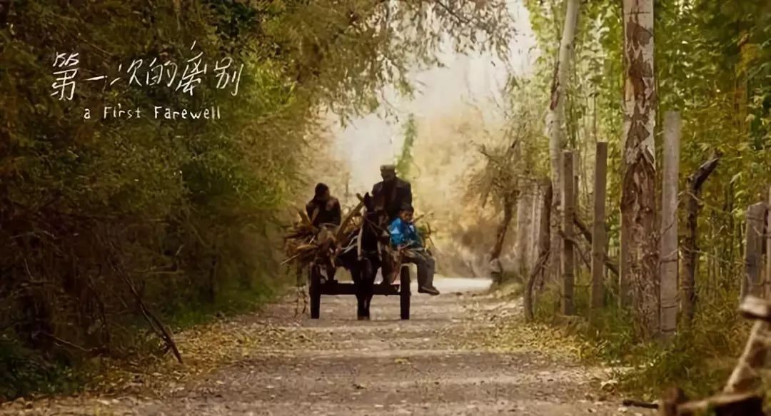 「暖先生格调」假期延长：教育部推荐13部优秀影片，建议家长陪孩子一起看，比旅行收获更大！