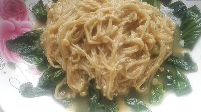 教你营养好吃的油菜扒金针菇，简单易做又美味解馋，让人食欲满满