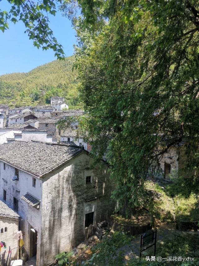 黄山市休宁里庄,高山云川中的华东地区海拔最高之行政