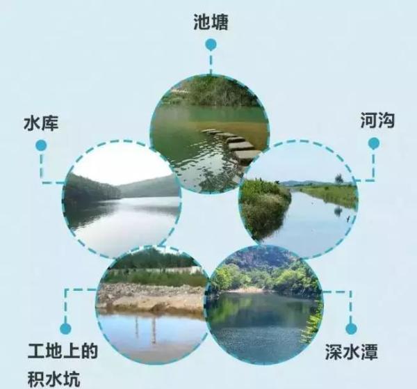 光明网|夏天防溺水!为了孩子,请再一次扩散