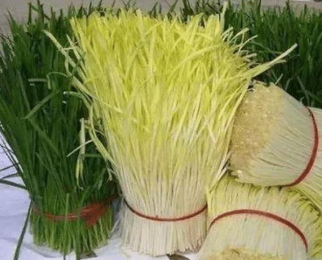 一直被忽视的回奶的食物，有多少妈妈吃了它的亏，导致回奶