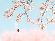 Hold Your Spring