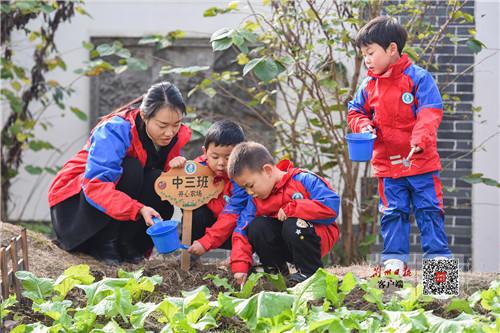 劳动也是教育，这个幼儿园里有个“小农场”