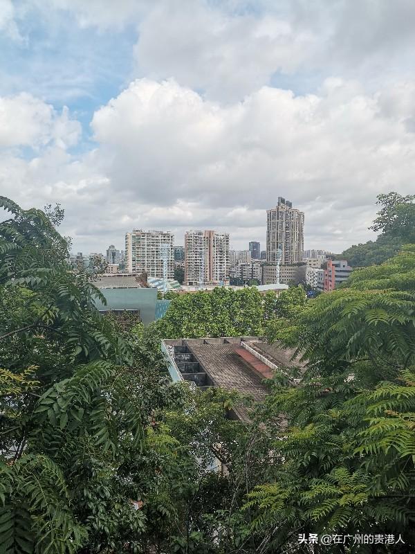 【山楂味的诗】走马观花，看顺德大良。