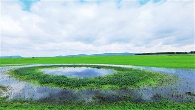 「约吗旅行」静谧的草原