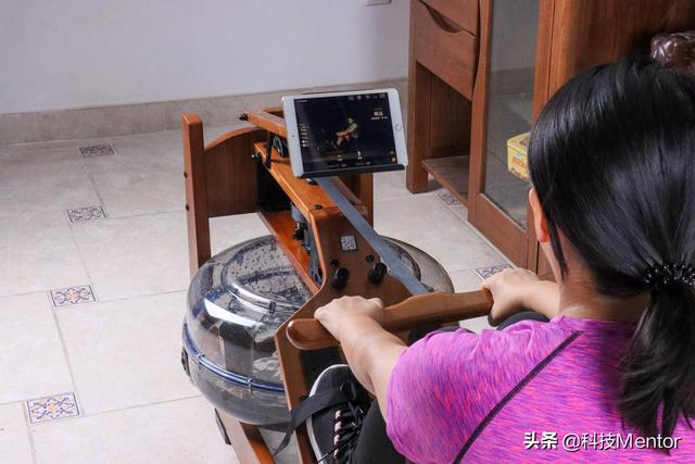 老罗夸，刘涛赞，野小兽划船机真能减掉身上那堆赘肉？