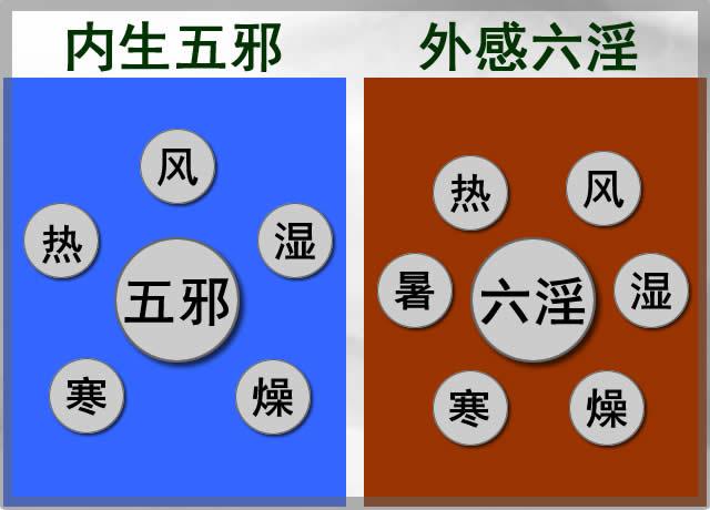 中医所说的&quot;风邪”是什么？为什么说它是百病之首？如何防范呢？