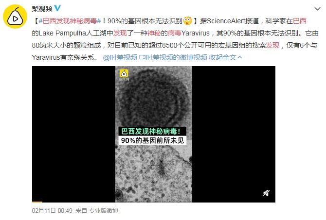 太平洋电脑网▲巴西现神秘病毒：80nm大小的颗粒组成，基因组独特