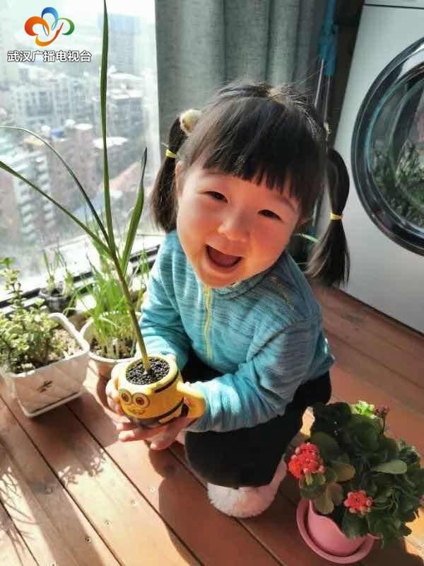 超级宝妈：超治愈！武昌萌娃宅家“种春天”