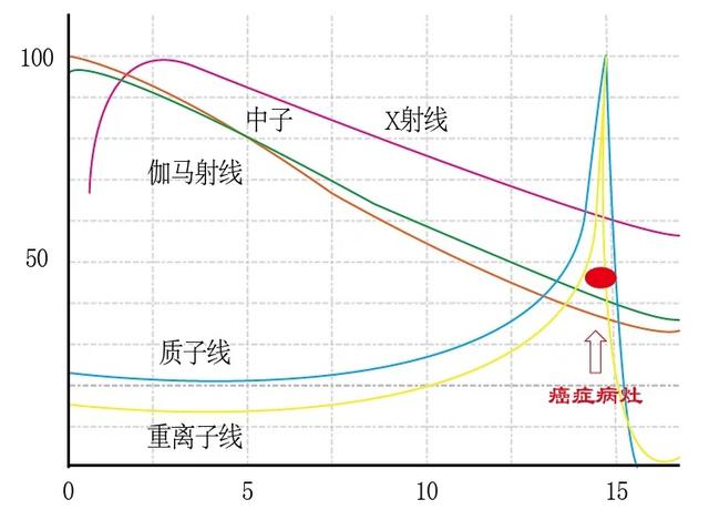 癌细胞|探秘：癌细胞为什么会是打不死的“小强”？