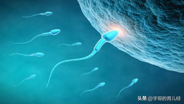 玻璃球的空气|“同房”后，要是女性产生这类反应，有可能是受精卵着床