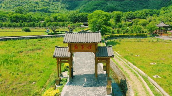 光明网|端午假期，到花茂村“打卡”电视剧中场景！安逸