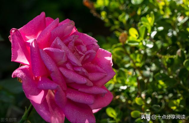 让孩子赢在生命形成的一刹那