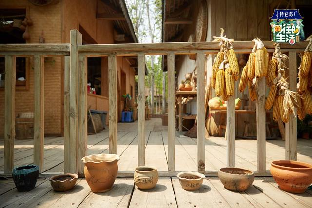 流年絮语|何炅黄磊《向往的生活》如此美好，明星都想留下，我却一点不羡慕