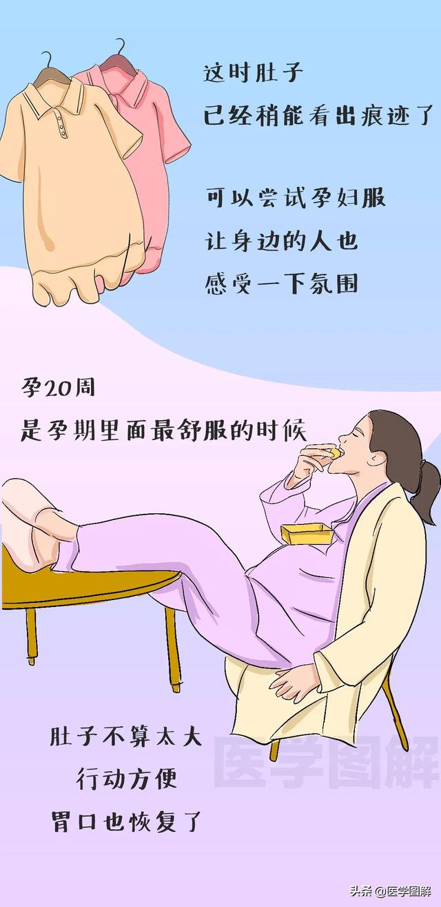 「超级宝妈」怀孕到生产的过程图,帮你猜透孕期女人心理(上篇)丨医学图解