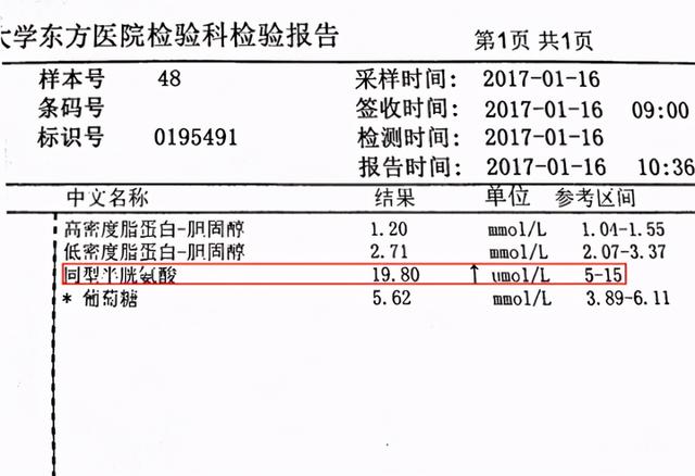 除了三高，最不能忽视的健康指标之一——高同型半胱氨酸血症