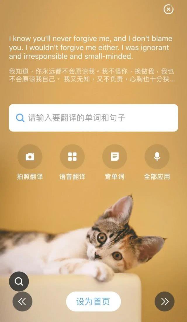 #你的育儿经#6款英文词典app测评来了!有没有一款能让孩子从小学用到大学?