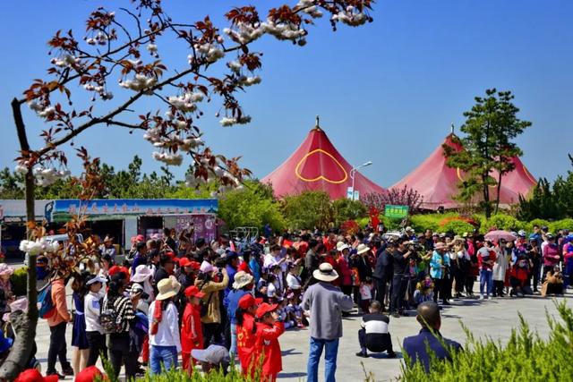 「野马踏风来」威海乳山被央媒连续“点赞”