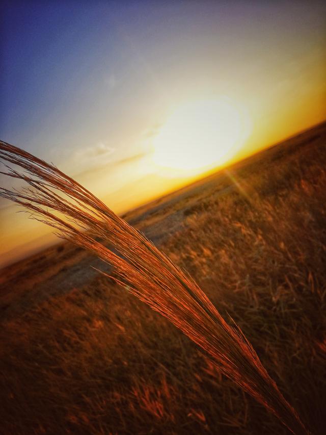 「趣旅游」百年间缩小上百倍,逐渐消失的艾丁湖会否变成第二个罗布泊?