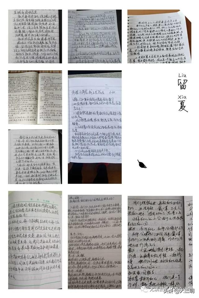 #超级宝妈#“离园不离学，停课不停研” ——溪尾中心幼儿园教师“云教研”系列活动（四）